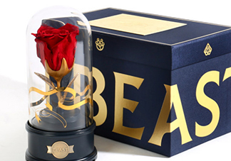 野獸派美女與野獸水晶球多少錢？野獸派音樂水晶球價格