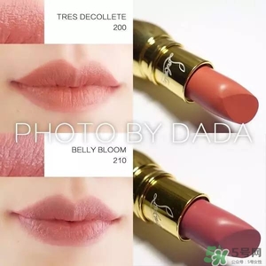 蘿卜丁口紅是什么牌子?蘿卜丁口紅多少錢? 蘿卜丁口紅是什么牌子?蘿卜丁口紅多少錢?