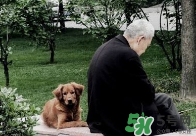 老人抑郁癥如何治療 老人抑郁癥怎么治療 老人抑郁癥如何治療 老人抑郁癥怎么治療