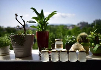 即食燕窩好嗎？即食燕窩和自己燉的哪種好？