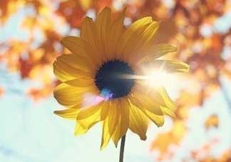 2017天氣什么時候回暖？2017什么時候升溫？