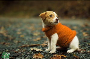 2017天氣什么時候回暖？2017什么時候升溫？