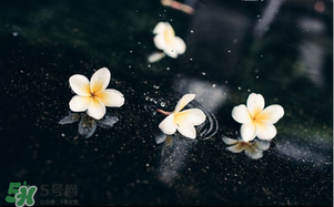 三月份為什么一直下雨？2017年三月份為什么雨多？