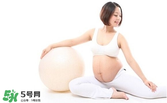 胎盤厚度代表什么 胎盤厚度多少正常 胎盤厚度代表什么 胎盤厚度多少正常