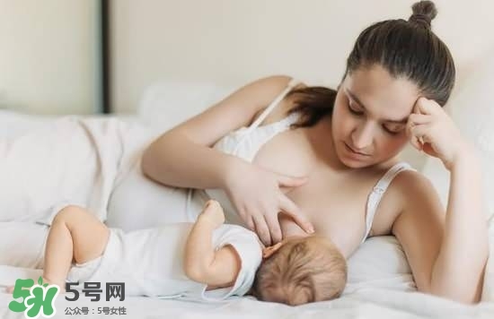 哺乳期能喝板藍(lán)根嗎 哺乳期板藍(lán)能喝嗎 哺乳期能喝板藍(lán)根嗎 哺乳期板藍(lán)能喝嗎