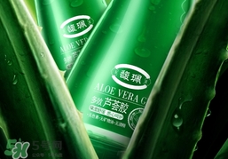 蘆薈膠可以去疤痕嗎?蘆薈膠能祛疤痕嗎? 蘆薈膠可以去疤痕嗎?蘆薈膠能祛疤痕嗎?