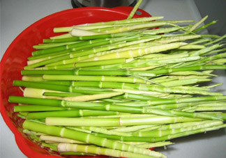 春筍老人能吃嗎？老人吃春筍好嗎？