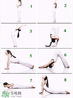 青蛙趴的標(biāo)準(zhǔn)動作圖片 青蛙趴的正確圖解 青蛙趴的標(biāo)準(zhǔn)動作圖片 青蛙趴的正確圖解