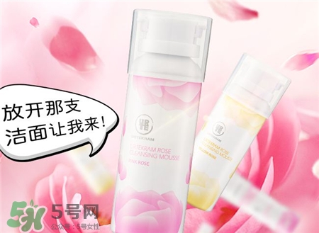 亞緹克蘭玫瑰花潔面慕斯多少錢_價格 亞緹克蘭玫瑰花潔面慕斯多少錢_價格