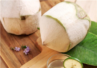 椰青和椰皇的區(qū)別 椰青和椰皇哪個(gè)好？