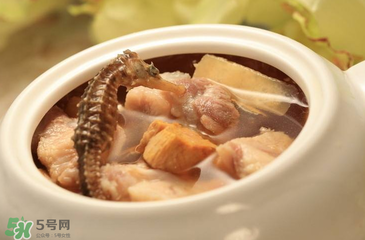 孕婦可以吃海馬煲湯嗎？海馬湯孕婦可以喝嗎？