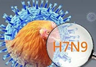四月份還有禽流感嗎？4月份是禽流感高發(fā)期嗎？