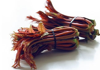 痛風能吃香椿嗎？痛風能吃香椿煎蛋嗎？