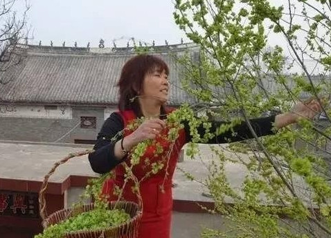 榆錢怎么蒸？蒸榆錢的做法