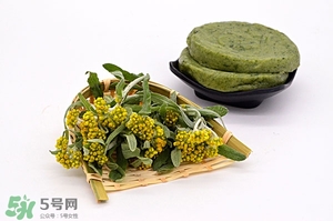 佛耳草的功效與作用及禁忌 佛耳草怎么吃 佛耳草的功效與作用及禁忌 佛耳草怎么吃