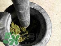 佛耳草的功效與作用及禁忌 佛耳草怎么吃 佛耳草的功效與作用及禁忌 佛耳草怎么吃