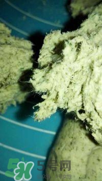 鼠曲草的功效與作用 鼠曲草怎么吃 鼠曲草的功效與作用 鼠曲草怎么吃