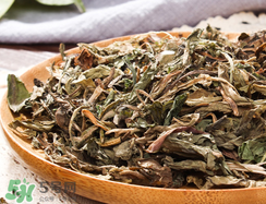 蒲公英有毒嗎?蒲公英有沒有毒? 蒲公英有毒嗎?蒲公英有沒有毒?