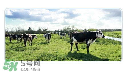 健康時(shí)光有機(jī)奶粉怎么樣？健康時(shí)光有機(jī)奶粉如何？