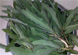 曲曲菜和花菜相克嗎？曲曲菜不能和花菜一起吃嗎？