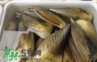 青口貝如何清洗？青口貝怎么處理