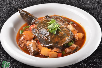 甲魚多少錢一斤 甲魚多少錢一斤市場價2022 甲魚多少錢一斤 甲魚多少錢一斤市場價2022