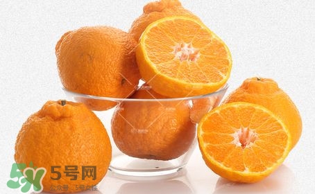 丑八怪是橘子嗎？丑八怪是桔子嗎