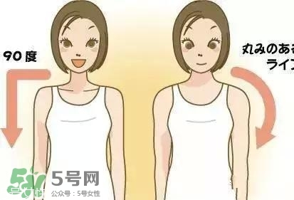 天鵝臂是什么？天鵝臂有用嗎