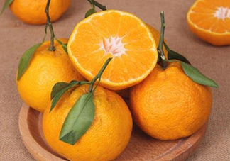 丑八怪是橙子嗎？丑八怪是不是橙子