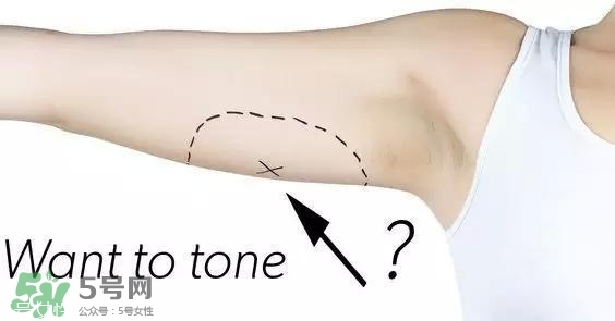 天鵝臂是什么？天鵝臂有用嗎