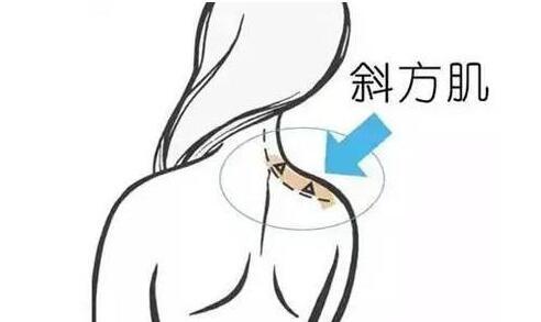 天鵝頸是什么樣的？天鵝頸怎么練？