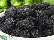 黑桑葚可以直接吃嗎?黑桑葚能直接吃嗎? 黑桑葚可以直接吃嗎?黑桑葚能直接吃嗎?