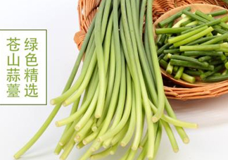 蒜薹是怎么長出來的？蒜薹和蒜苔有什么區(qū)別