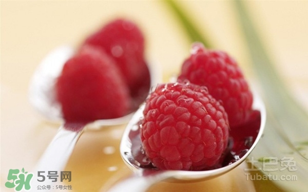 樹莓多少錢一斤 樹莓價格 樹莓多少錢一斤 樹莓價格