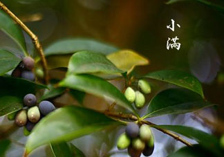 2017年小滿會(huì)下雨嗎？2017年小滿下雨好嗎？