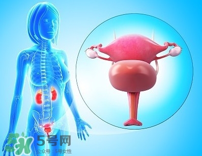 人造子宮能生孩子嗎？人造子宮初現(xiàn)曙光