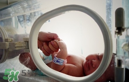 人造子宮能生孩子嗎？人造子宮初現(xiàn)曙光