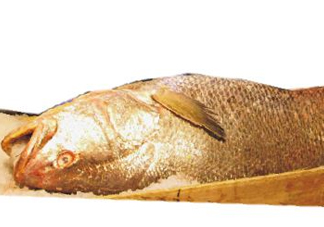 黃唇魚是不是黃花魚？黃唇魚和黃花魚的區(qū)別