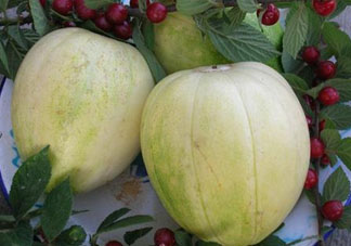 為什么吃甜瓜會(huì)嗓子疼？吃甜瓜嗓子疼怎么辦？