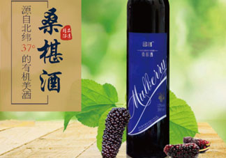 桑葚酒的營養(yǎng)價(jià)值_桑葚酒的功效與作用