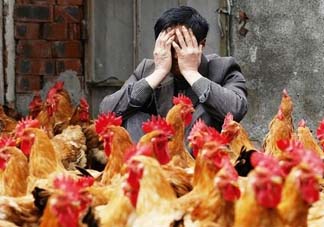 五月份還有禽流感嗎？禽流感幾月份結(jié)束？