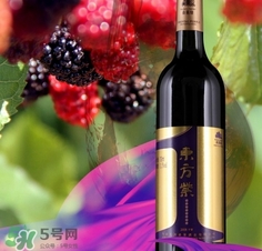 自制桑葚酒怎么發(fā)酵?桑葚酒發(fā)酵多長時(shí)間? 自制桑葚酒怎么發(fā)酵?桑葚酒發(fā)酵多長時(shí)間?