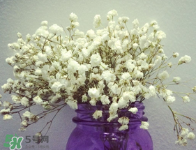 母親節(jié)可以送滿天星嗎？母親節(jié)能送滿天星嗎？