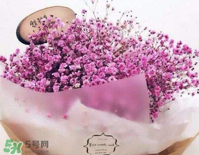 母親節(jié)可以送滿天星嗎？母親節(jié)能送滿天星嗎？