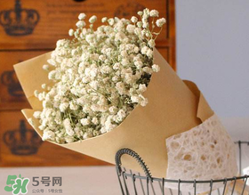 母親節(jié)可以送滿天星嗎？母親節(jié)能送滿天星嗎？