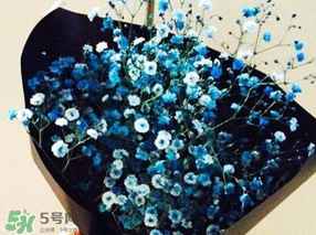 滿天星多少錢一束2017？滿天星多少錢一支2017？