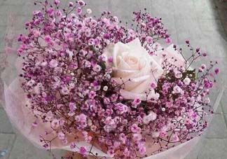 母親節(jié)可以送滿天星嗎？母親節(jié)能送滿天星嗎？