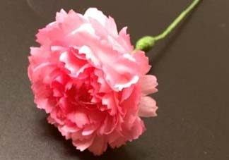 母親節(jié)可以送紙做的康乃馨嗎？康乃馨怎么折？