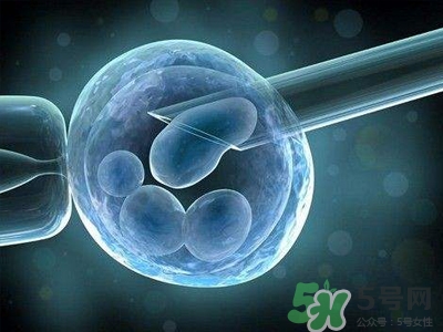 女性排卵全過程圖解 排卵有什么癥狀或感覺 女性排卵全過程圖解 排卵有什么癥狀或感覺