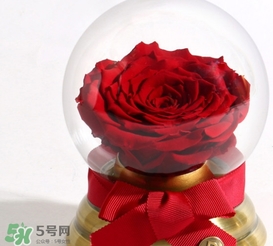 野獸派水晶球多少錢？野獸派水晶球音樂盒價格